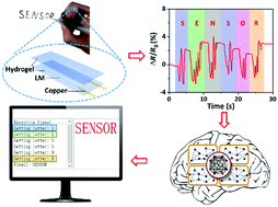 Graphical abstract: Stretchable, sensitive, flexible strain sensor incorporated with patterned liquid metal on hydrogel for human motion monitoring and human–machine interaction