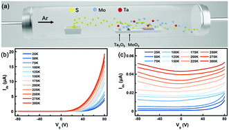 Graphical abstract: Controllable p-type doping of monolayer MoS2 with tantalum by one-step chemical vapor deposition