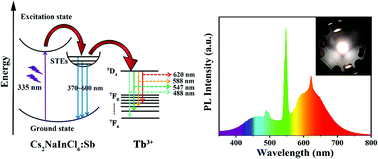 Graphical abstract: Double perovskite Cs2NaInCl6 nanocrystals with intense dual-emission via self-trapped exciton-to-Tb3+ dopant energy transfer