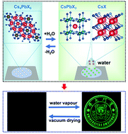 Graphical abstract: Water-induced reversible phase transformation between cesium lead halide perovskite nanocrystals enables fluorescent anti-counterfeiting