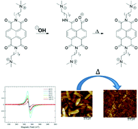 Graphical abstract: Critical analysis of self-doping and water-soluble n-type organic semiconductors: structures and mechanisms