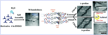 Graphical abstract: Solvent mediated thermodynamically favorable helical supramolecular self-assembly: recognition behavior towards achiral and chiral analytes