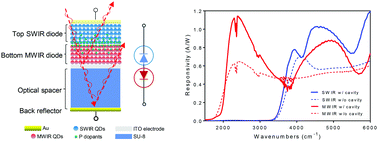 Graphical abstract: Resonant cavity-enhanced colloidal quantum-dot dual-band infrared photodetectors