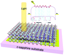 Graphical abstract: Performance enhancement of a self-powered imaging CsPbBr3 photodetector by tuning the trap effects of carriers