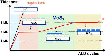Graphical abstract: Stepwise growth of crystalline MoS2 in atomic layer deposition