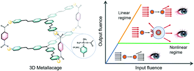 Graphical abstract: A triphenylamine-based Pt(ii) metallacage via coordination-driven self-assembly for nonlinear optical power limiting