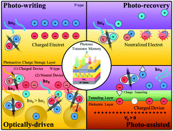 Graphical abstract: A brief review on device operations and working mechanisms of organic transistor photomemories