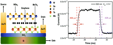 Graphical abstract: A high-performance self-powered photodetector based on WSe2–graphene–MoTe2 van der Waals heterojunctions