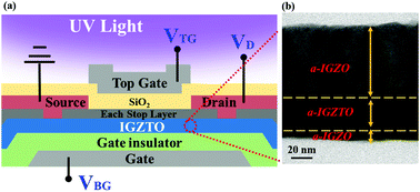 Graphical abstract: Heterogeneous metal oxide channel structure for ultra-high sensitivity phototransistor with modulated operating conditions