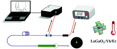 Graphical abstract: Optical fiber temperature sensor of Er3+/Yb3+ codoped LaGaO3 microcrystals with high reliability and stability