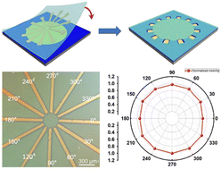 Graphical abstract: Polymer assisted transferring of patterned electrodes for a weak anisotropic charge transport study in monolayer molecular crystals