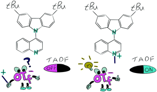 Graphical abstract: From phosphorescence to delayed fluorescence in one step: tuning photophysical properties by quaternisation of an sp2-hybridised nitrogen atom