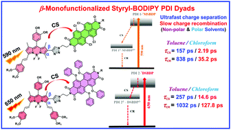 Graphical abstract: Unravelling the excited state dynamics of monofunctionalized mono- and distyryl-BODIPY and perylenediimide dyads