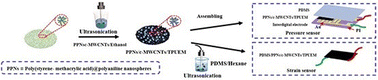 Graphical abstract: High-performance pressure/strain sensors featuring a conductive network constructed from c-MWCNTs and nanospheres for human activity monitoring