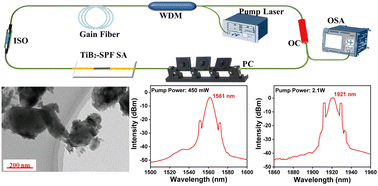 Graphical abstract: TiB2 nanoparticles with a broadband nonlinear response for ultrafast pulse generation