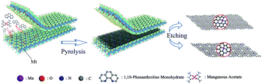 Graphical abstract: A nanoclay-confined single atom catalyst: tuning uncoordinated N species for efficient water treatment