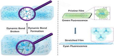 Graphical abstract: Highly stretchable and stretch-induced fluorescence chromism self-healing materials based on boroxine and dynamic imine bond