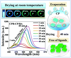 Graphical abstract: Evaporation-induced nano- to micro-sized transformation of photoluminescent Cs4PbBr6 crystals
