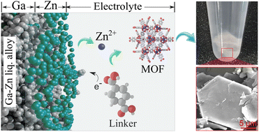 Graphical abstract: Liquid metal-based electrosynthesis of stratified zinc–organic frameworks