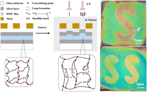 Graphical abstract: UV-Responsive, wide color gamut, inkless dynamic photonic paper enabled by disulfide-containing polyurethane based Fabry-Perot resonant cavity