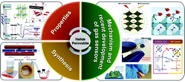 Graphical abstract: A review on the sensing mechanisms and recent developments on metal halide-based perovskite gas sensors