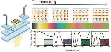 Graphical abstract: Anisotropic microfluidics and flow monitoring with a microchannel towards soft-matter sensing