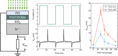 Graphical abstract: Role of blend ratio in bulk heterojunction organic retinomorphic sensors