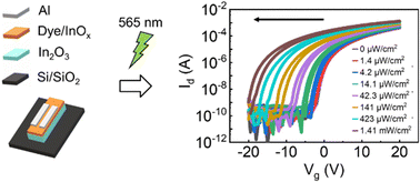 Graphical abstract: Rhodamine 6G and phloxine B as photosensitizers for inkjet-printed indium oxide phototransistors