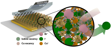 Graphical abstract: Copper halide anion engineering for p-channel electrolyte-gated transistors with superior operational reliability