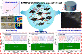 Graphical abstract: MXene reinforced organohydrogels with ultra-stability, high sensitivity and anti-freezing ability for flexible strain sensors