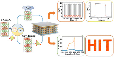 Graphical abstract: Anion–cation synergistic doping strategy on a Ga2O3 scaffold for improving electron extraction and transport in a CH3NH3PbCl3-based photodetector