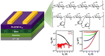 Graphical abstract: Brewers’ spent grain (BSG)-based green dielectric materials for low-voltage operating solution-processed organic field-effect transistors