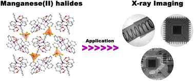 Graphical abstract: High-efficiency luminescent organic–inorganic hybrid manganese(ii) halides applied to X-ray imaging
