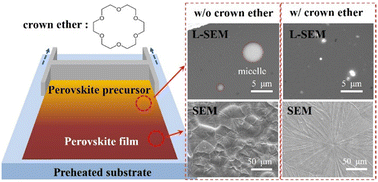 Graphical abstract: Role of crown ether in the perovskite precursor for doctor-bladed perovskite solar cells: investigation by liquid-phase scanning electron microscopy