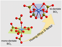 Graphical abstract: A bidentate-anionic-group strategy for enhancing electron–phonon coupling and vibronic fluorescence in rare-earth crystals