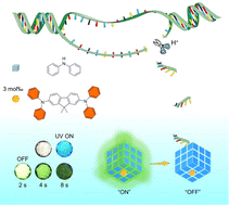 Graphical abstract: An in situ DNA content detection enabled by organic long-persistent luminescence materials with tunable afterglow-time in water and air