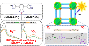 Graphical abstract: Thiadiazole-functionalized metal–organic frameworks for photocatalytic C–N and C–C coupling reactions: tuning the ROS generation efficiency via cobalt introduction