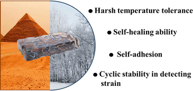 Graphical abstract: Self-adhesive, self-healing, conductive organogel strain sensors with extreme temperature tolerance