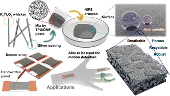 Graphical abstract: A breathable and reliable thermoplastic polyurethane/Ag@K2Ti4O9 composite film with an asymmetrical porous structure for wearable piezoresistive sensors