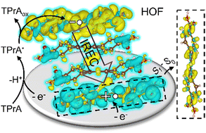 Graphical abstract: Intrareticular electron coupling pathway driven electrochemiluminescence in hydrogen-bonded organic frameworks