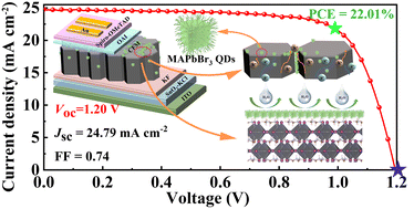 Graphical abstract: A synergistic co-passivation strategy for high-performance perovskite solar cells with large open circuit voltage
