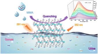 Graphical abstract: An ultrastable zinc-based organic framework as a recyclable luminescent probe for methylmalonic acid detection