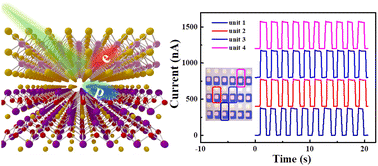 Graphical abstract: In situ preparation of Bi2O2Se/MoO3 thin-film heterojunction array flexible photodetectors