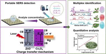 Graphical abstract: A portable SERS sensing platform for the multiplex identification and quantification of pesticide residues on plant leaves