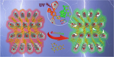 Graphical abstract: Stable lanthanide metal–organic frameworks as ratiometric fluorescent probes for the efficient detection of riboflavin