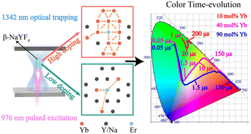 Graphical abstract: The impact of Yb3+ concentration on multiband upconversion in a single NaYF4:Yb/Er microcrystal determined via nanosecond time-resolved spectroscopy