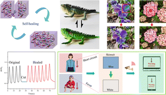 Graphical abstract: Bio-inspired color-changing and self-healing hybrid hydrogels for wearable sensors and adaptive camouflage