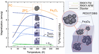 Graphical abstract: Tuning the electrical and magnetic properties in multifunctional composite materials based on the PEDOT:DBS conducting polymer and magnetite nanoparticles