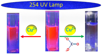 Graphical abstract: CO32− ion-induced Cu2+ ion determination using DPA capped-LaF3:Eu3+ nanocrystals