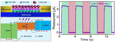 Graphical abstract: Synergistically enhanced wide spectrum photodetection of a heterogeneous trilayer CsPbI3/PbS/ZnO architecture